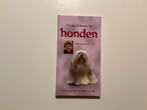 Huidproblemen bij Honden, Henk Lommers, Boeken, Dieren en Huisdieren, Ophalen of Verzenden, Zo goed als nieuw, Honden