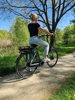 Amslod Carlton SX 43V 600Wh Ebike, 47 tot 51 cm, Ophalen of Verzenden, 50 km per accu of meer, Overige merken