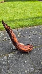 Kienhout 20, Dieren en Toebehoren, Vissen | Aquaria en Toebehoren, Ophalen, Plant(en), Steen of Hout