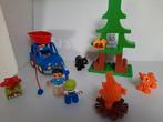 Duplo Bos Vistochtje 10583, Ophalen of Verzenden, Zo goed als nieuw, Complete set, Duplo