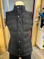 Bodywarmer kingsland xs, Nieuw, Bovenkleding, Dames, Dressuur