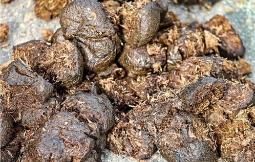 GEVRAAGD: afvoeren 30m3 mest, Tuin en Terras, Aarde en Mest, Ophalen
