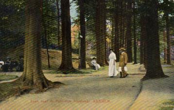 162 Arnhem Laan naar de Belvedere Sonsbeek 1914   beschikbaar voor biedingen