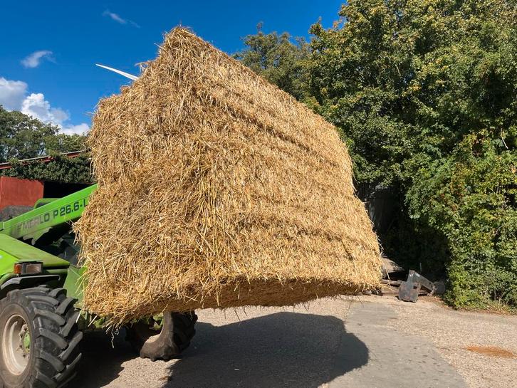 Stro grote balen, Dieren en Toebehoren, Stalling en Weidegang, Opfok, Stalling, Toebehoren