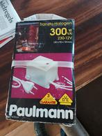 Bloktrafo 300 watt nieuw, Ophalen of Verzenden, Nieuw