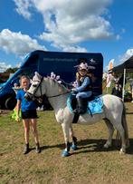Bijrijder gezocht voor A pony ruiter tot 1,35, Dieren en Toebehoren, Paarden en Pony's | Overige Paardenspullen, Ophalen, Overige soorten
