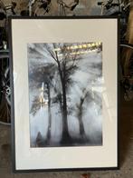 Mooi foto schilderij 73x103 cm, Ophalen, Overige typen, Zo goed als nieuw, 75 cm of meer