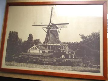 Zaagmolen de Herder Leiden~Grote Foto Prent achter Glas beschikbaar voor biedingen