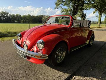 Volkswagen KEVER CABRIO 1200 L (bj 1981) beschikbaar voor biedingen