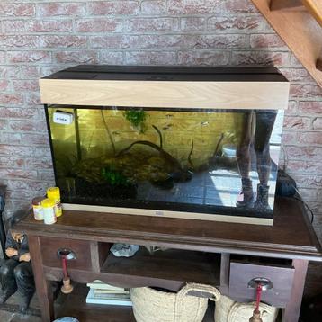 Juwel aquarium RIO 180 led beschikbaar voor biedingen