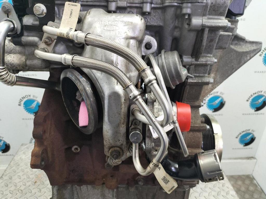 FORD FIESTA TURBO 2020, Ophalen of Verzenden, Gebruikt, Stiba lid