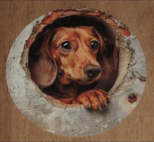 TECKEL : Rond Bord Metaal Teckel  - Teckel kijkt door gat, Dieren en Toebehoren, Honden-accessoires, Nieuw, Verzenden