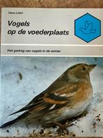 Vogels op de voederplaats, Dieren en Toebehoren, Vogels | Overige Vogels, Meerdere dieren