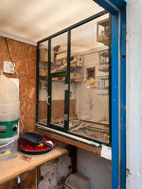 Voleire panelen, Dieren en Toebehoren, Vogels | Hokken en Kooien, Zo goed als nieuw, Volière, Aluminium, Ophalen