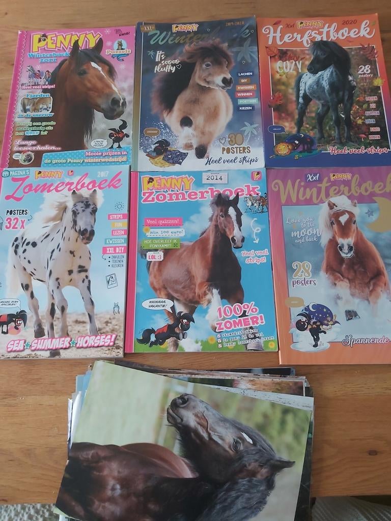 Penny Seizoensboeken en Posters - Leuke Collectie!, Ophalen of Verzenden, Gelezen, Penny redactie, Fictie algemeen