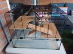 Glazen hamster kooi, Dieren en Toebehoren, Knaagdieren en Konijnen | Hokken en Kooien, Kooi, Gebruikt, Minder dan 75 cm, Hamster
