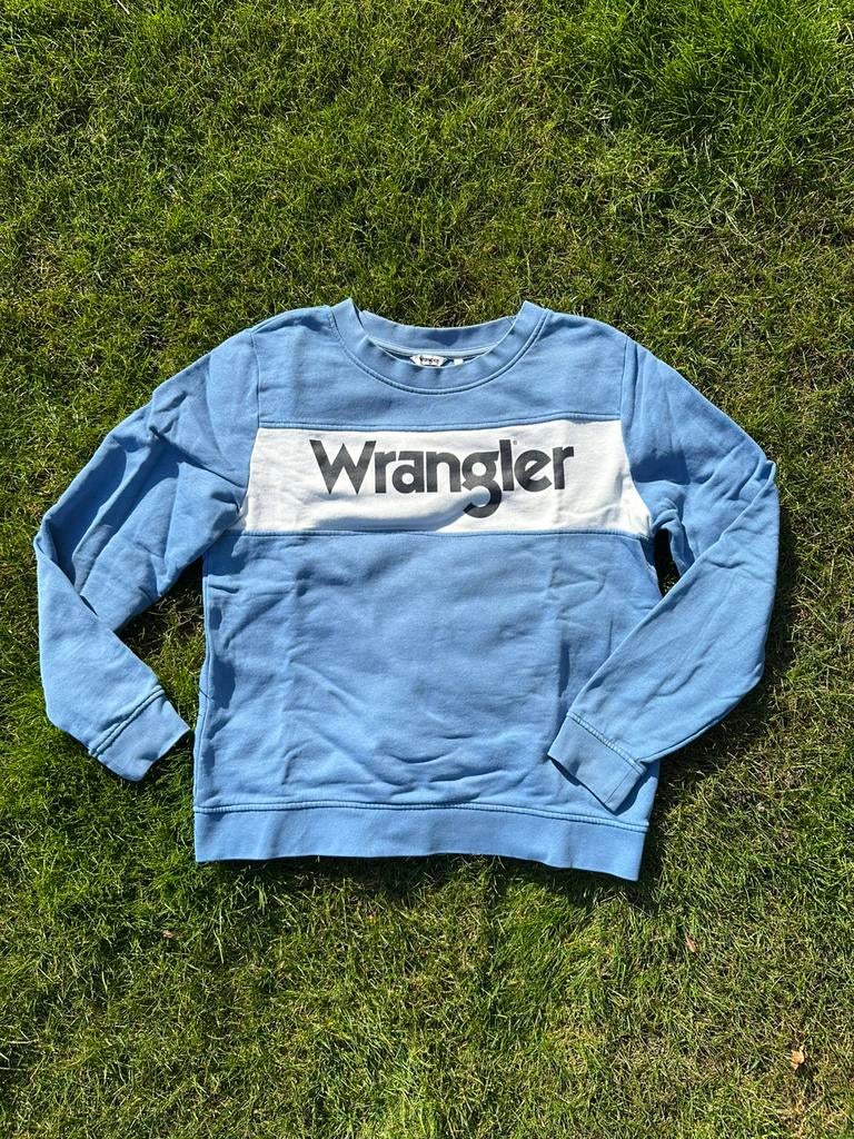 Wrangler trui maat M, Ophalen of Verzenden, Gedragen, Maat 38/40 (M), Blauw