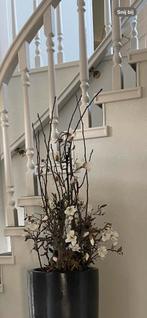 Prachtig perenhout met zijde magnolia, Ophalen, Zo goed als nieuw, Binnen