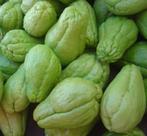 chayote groente te koop, Tuin en Terras, Planten | Tuinplanten, Ophalen of Verzenden, Eenjarig, Groenteplanten, Volle zon