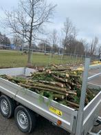 Openhaardhout conifeer, Minder dan 3 m³, Ophalen of Verzenden