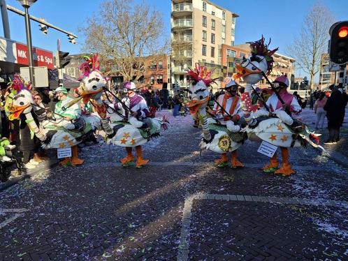 1st prijs Carnaval loopgroep 'De Feestbeesten', Kleding | Dames, Carnavalskleding en Feestkleding, Gedragen, Accessoires, Carnaval