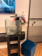 Aquarium Qubiq pro 30L + tafel, Ophalen, Gebruikt, Leeg aquarium