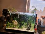 Helemaal compleet aqarium, Dieren en Toebehoren, Vissen | Aquaria en Toebehoren, Ophalen, Zo goed als nieuw, Gevuld zoetwateraquarium