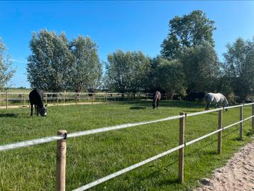 Aangeboden: plek in kleinschalige stalling aan huis beschikbaar voor biedingen