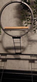 Papegaai zitstok, Meerdere dieren, Papegaai