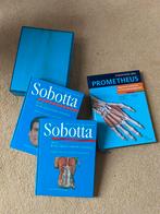 Anatomie atlas sobotta en prometheus, Boeken, Ophalen of Verzenden, Beta, Zo goed als nieuw, HBO