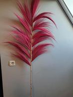 Pluimen bamboe, Ophalen of Verzenden