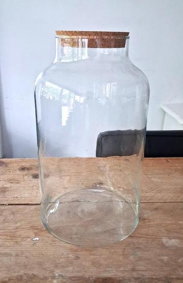 Glass vase/storage jar/terrarium vase beschikbaar voor biedingen
