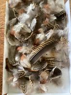 Echte vogel Veertjes.Voor verfraaien van hoeden,kleding enz., Ophalen of Verzenden