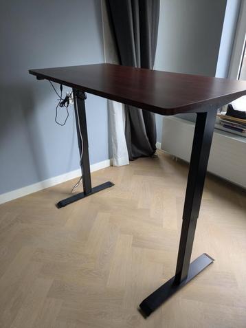 FLEXISPOT Gemotoriseerd stabureau met kersenfineer blad beschikbaar voor biedingen