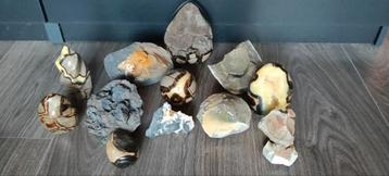 Septarie verzameling  beschikbaar voor biedingen