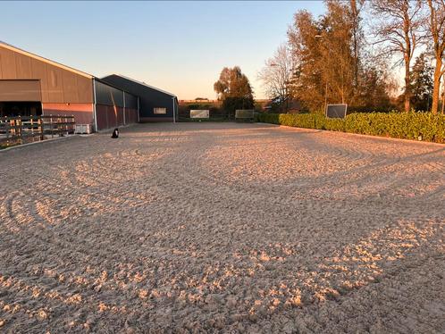 Stalling met veel weidegang en alle faciliteiten, Dieren en Toebehoren, Stalling en Weidegang, Weidegang