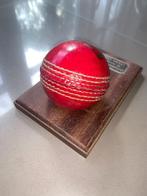Cricketbal op houten plaquette, Sport en Fitness, Honkbal en Softbal, Ophalen of Verzenden, Nieuw, Bal