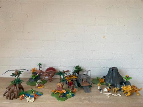 6x dinoset Playmobil, Kinderen en Baby's, Speelgoed | Playmobil, Zo goed als nieuw, Ophalen of Verzenden