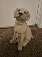 Hond met puppie, Ophalen, Dier