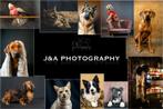 Pet photography studio goes to your home!, Diensten en Vakmensen, Fotografen, Fotograaf, Komt aan huis