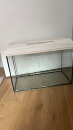 Jewel 60L aquarium, Dieren en Toebehoren, Vissen | Aquaria en Toebehoren, Ophalen, Zo goed als nieuw