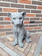Betonbeeld leeuw, Ophalen, Nieuw, Beton, Dierenbeeld