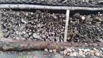 Hout voor kachel - Droog en klaar voor gebruik, Tuin en Terras, Minder dan 3 m³, Ophalen, Overige houtsoorten, Takken