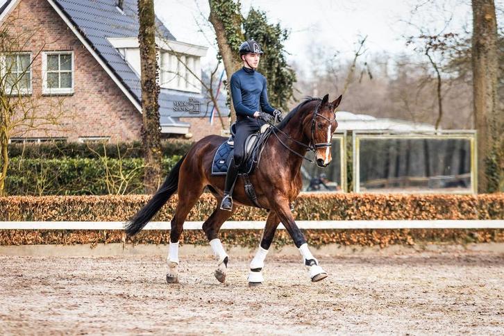 Zadelmak maken, Training, uitbrengen op wedstrijden, Diensten en Vakmensen, Dieren | Paarden | Verzorging, Oppas en Les, Gedragstraining