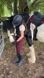 🌟 verzorg pony gezocht🌟, Ophalen of Verzenden, Nieuw