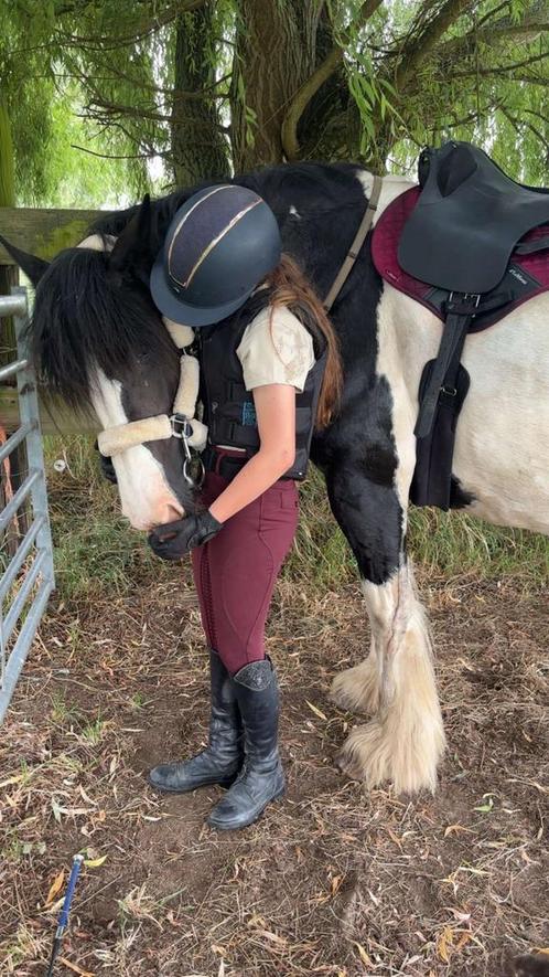 🌟 verzorg pony gezocht🌟, Diversen, Agenda's, Nieuw, Ophalen of Verzenden