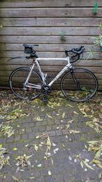 Racefiets Sensa Umbria (maat 62), 28 inch, Gebruikt, Heren, Aluminium