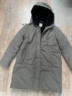 Jas mt L van ELVINE €75,00., Elvine, Maat 42/44 (L), Ophalen of Verzenden, Zo goed als nieuw