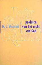 ds. J. Westerink - JOËL & AMOS, profeten vh recht van God, Boeken, Ophalen of Verzenden, Gelezen, Christendom | Protestants