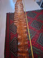 Python huid, Ophalen of Verzenden